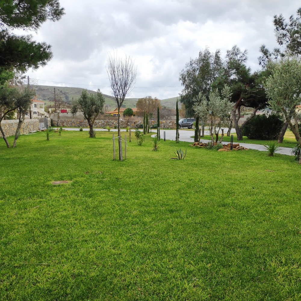 IMG_20200118_103652_1